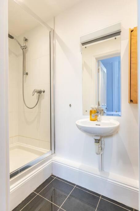 ブライトンVictorian Flat Close To Station With Large Gardenアパートメント エクステリア 写真